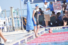 Enlarge photo 1031