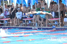 Enlarge photo 1054