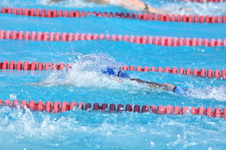 Enlarge photo 1058