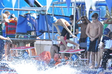 Enlarge photo 1073