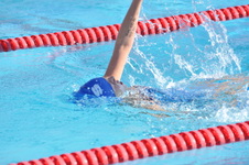 Enlarge photo 1097