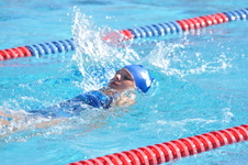 Enlarge photo 1102