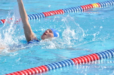 Enlarge photo 1105