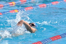 Enlarge photo 1117