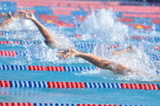 Enlarge photo 1130