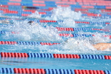 Enlarge photo 1131