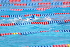 Enlarge photo 1159