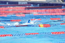 Enlarge photo 1160