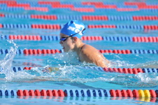 Enlarge photo 1169