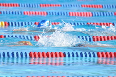 Enlarge photo 1168