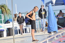 Enlarge photo 1178