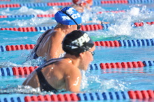 Enlarge photo 1193