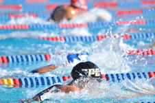 Enlarge photo 1194