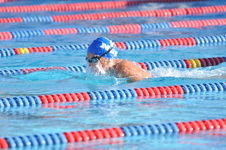 Enlarge photo 1196