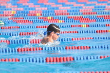 Enlarge photo 1243