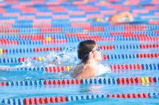 Enlarge photo 1244
