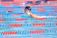 Enlarge photo 1258