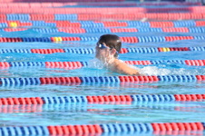 Enlarge photo 1259
