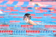 Enlarge photo 1264