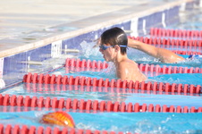 Enlarge photo 1281