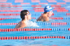 Enlarge photo 1282