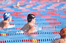 Enlarge photo 1290