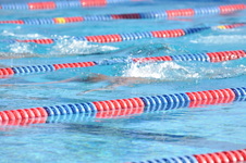 Enlarge photo 1303