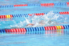 Enlarge photo 1322