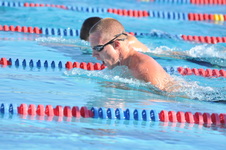 Enlarge photo 1334