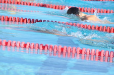 Enlarge photo 1341