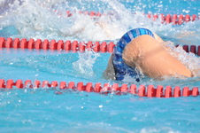 Enlarge photo 1373