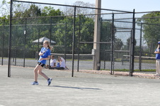 Enlarge photo 235