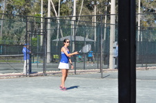 Enlarge photo 259
