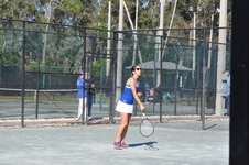Enlarge photo 262