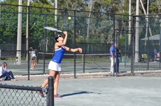 Enlarge photo 264
