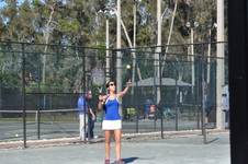 Enlarge photo 266