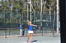 Enlarge photo 267