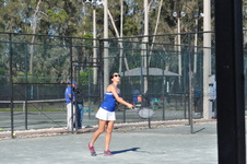 Enlarge photo 269