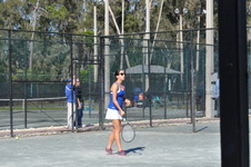 Enlarge photo 272