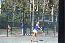 Enlarge photo 274