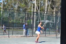 Enlarge photo 277