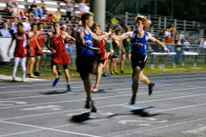 Enlarge photo 412