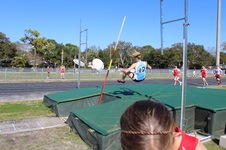 Enlarge photo 344