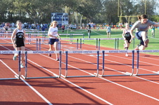 Enlarge photo 203