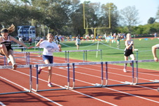 Enlarge photo 206