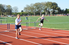 Enlarge photo 211