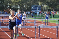 Enlarge photo 223