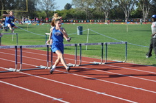 Enlarge photo 236