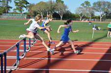Enlarge photo 240