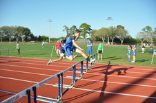 Enlarge photo 272